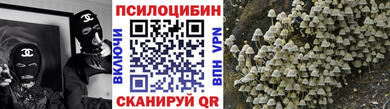 купить наркотики сайты  Рассказово  Псилоцибиновые грибы Psilocybe 